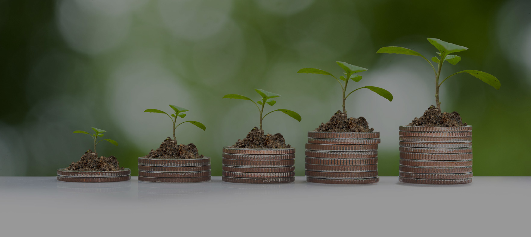 WiseGrow